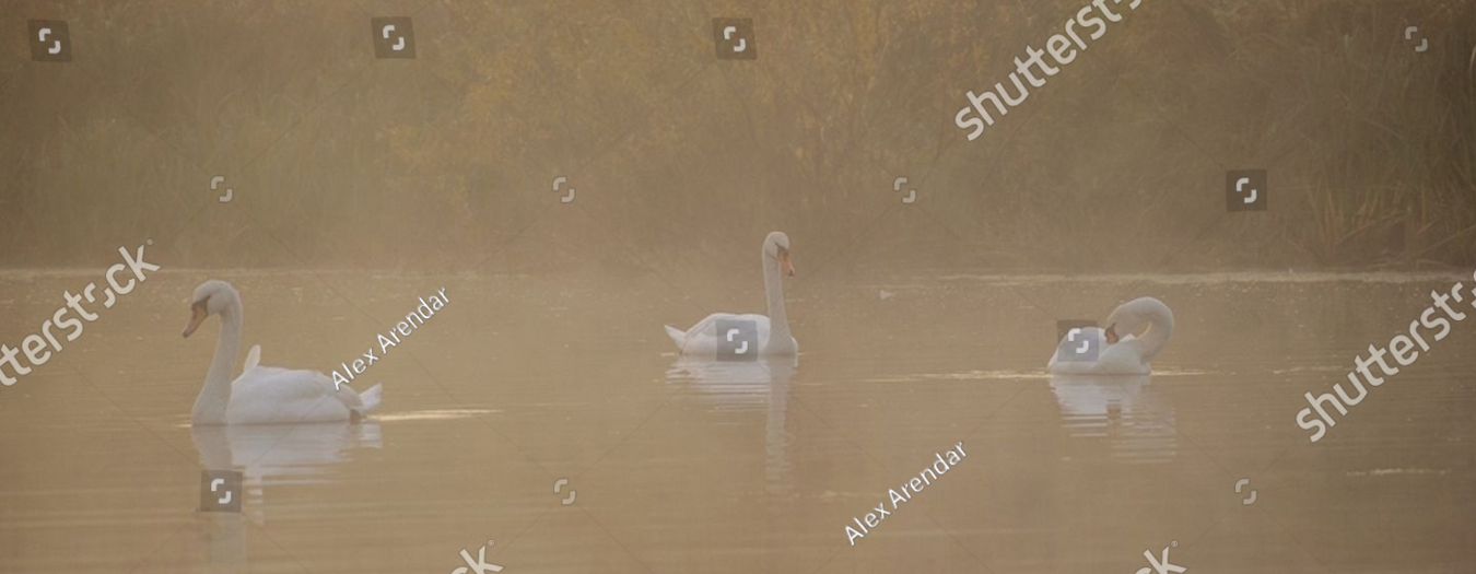 2540436821