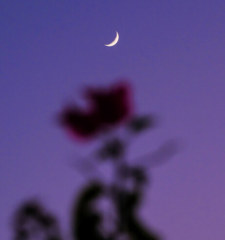 Stories Img 1