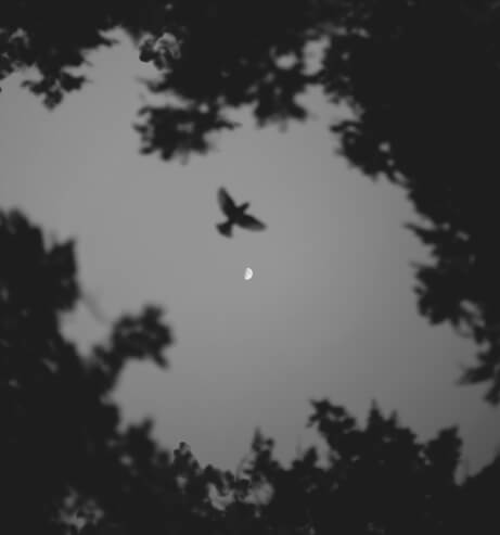 Stories Img 2
